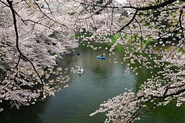 お堀に浮かんでいるボート